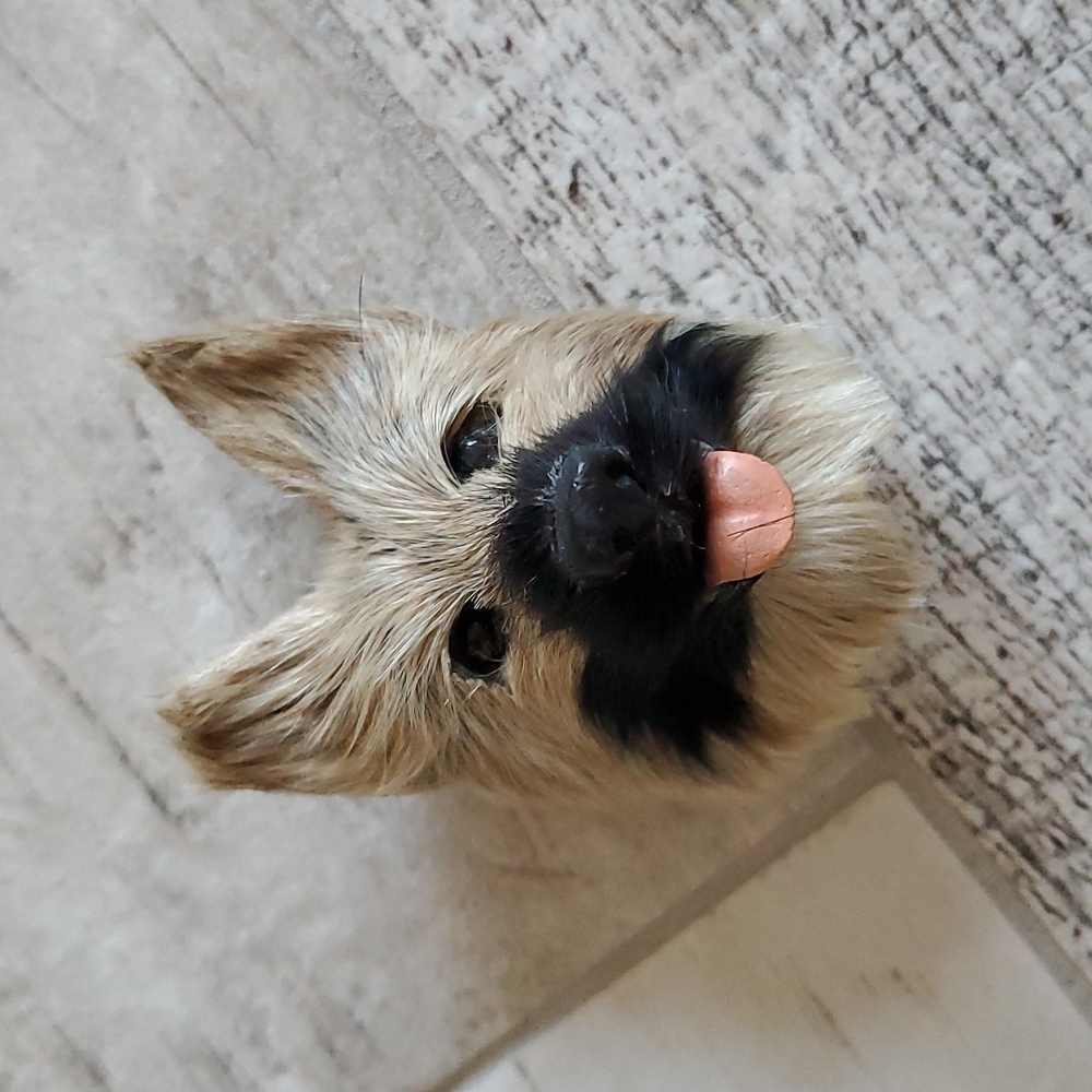 New German Shepherd Head Study Faux Fake Fur Magnet